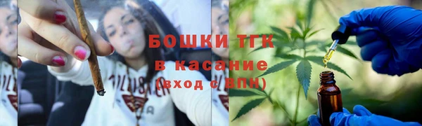 твердый Верхний Тагил