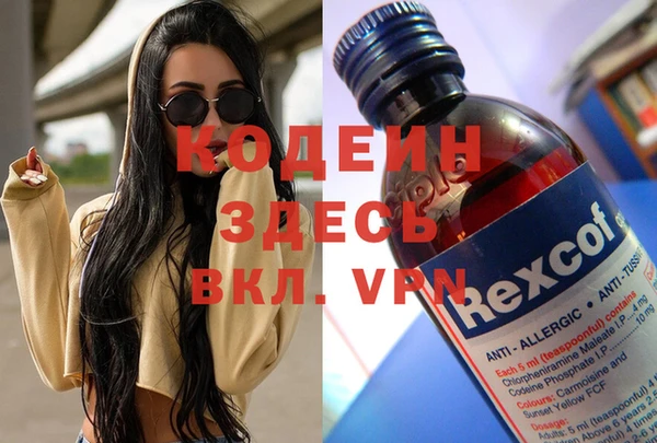 индика Верея